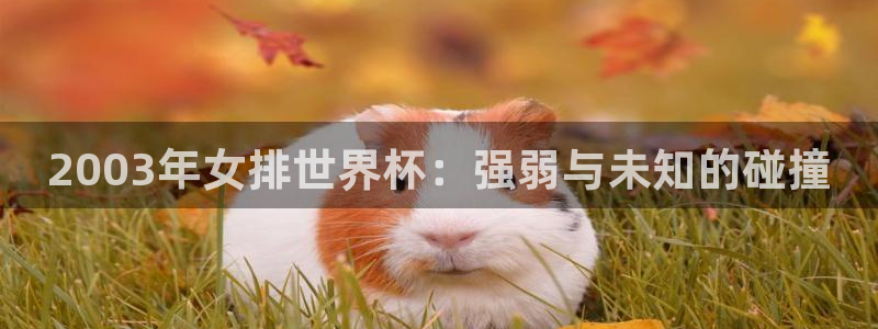 世界杯预选赛：2003年女排世界杯：强弱与未知的碰撞