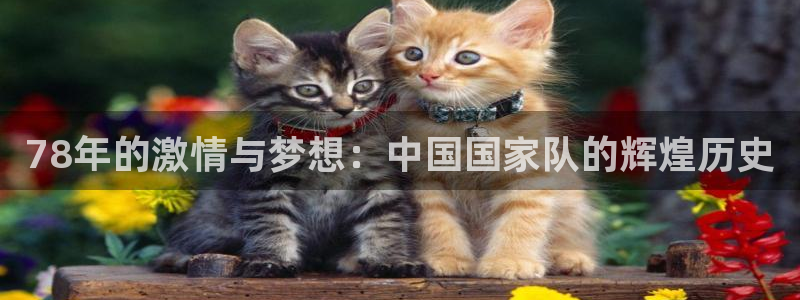 葡萄牙世界杯赛程：78年的激情与梦想：中国国家队的辉煌历史