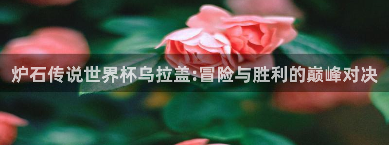 世界杯赛程2026：炉石传说世界杯乌拉盖:冒险与胜利的巅峰对决