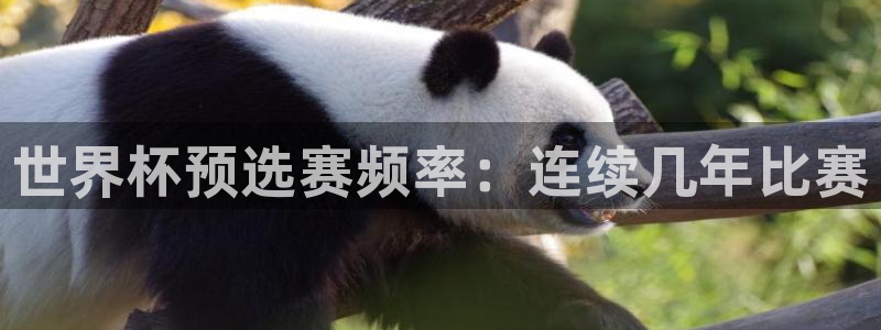 世界杯官网入口：世界杯预选赛频率：连续几年比赛