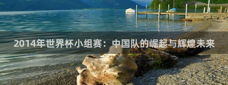 2026足球世界杯赛程时间表：2014年世界杯小组赛：中国队的崛起与辉煌未来