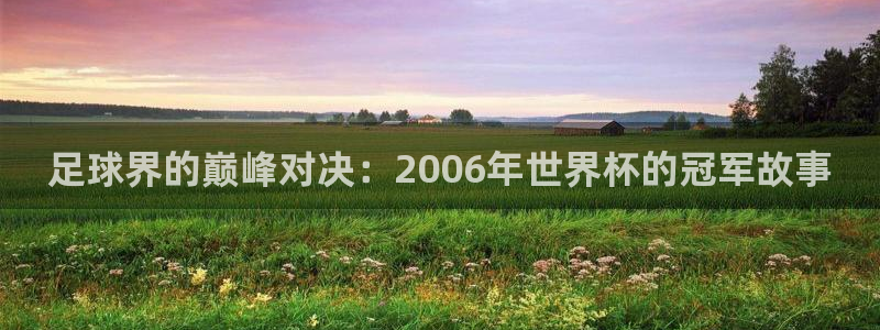世界杯第一场比赛：足球界的巅峰对决：2006年世界杯的冠军故事