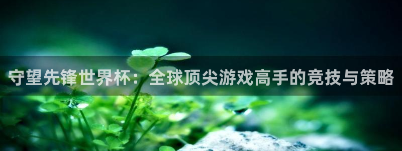 世界杯赛程2026：守望先锋世界杯：全球顶尖游戏高手的竞技与策略