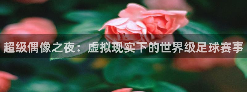 世界杯球队：超级偶像之夜：虚拟现实下的世界级足球赛事