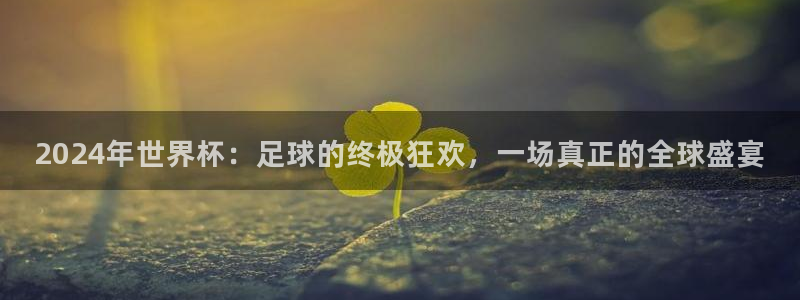 2026世预赛全部赛程：2024年世界杯：足球的终极狂欢，一场真正的全球盛宴