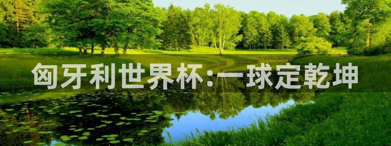 世界杯直播免费观看：匈牙利世界杯:一球定乾坤
